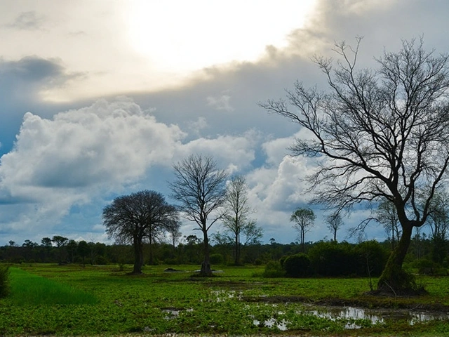 Verão 2025 no Brasil: a La Niña define o clima da estação